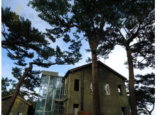 花蓮景點-松園別館