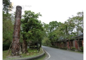 花蓮景點-林田山林業文化...