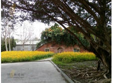 花蓮景點-知卡宣森林公園