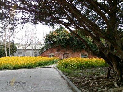 花蓮景點-知卡宣森林公園