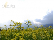 花蓮景點-自強外役監獄