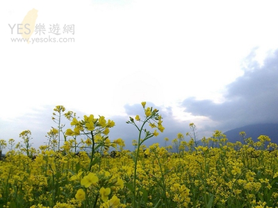 花蓮景點-自強外役監獄