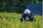 花蓮景點-赤科山...