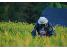 花蓮景點-赤科山