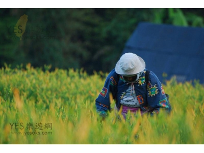 花蓮景點-赤科山